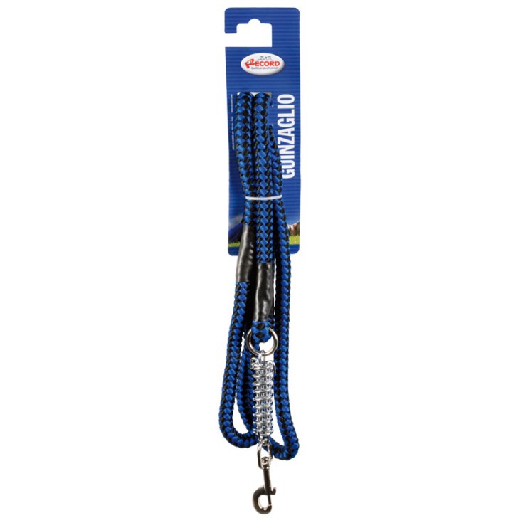 RECORD LEASH WITH SPRING TERMINAL BI