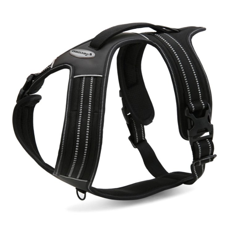 RECORD ACTION BLACK HARNESS XS 43 49 CM
