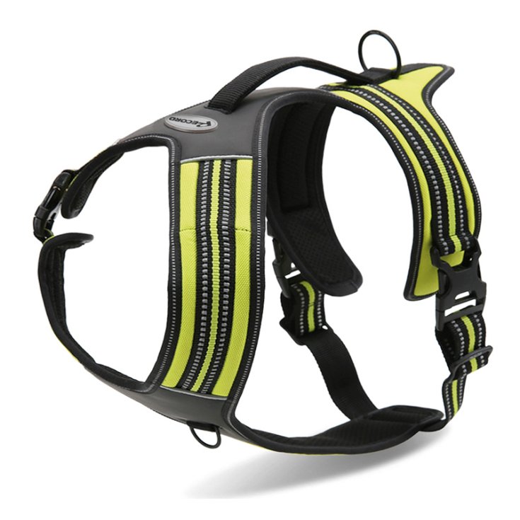 RECORD ACTION YELLOW BIB S 48 57 C
