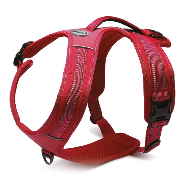 RECORD ACTION RED HARNESS S 48 57 CM