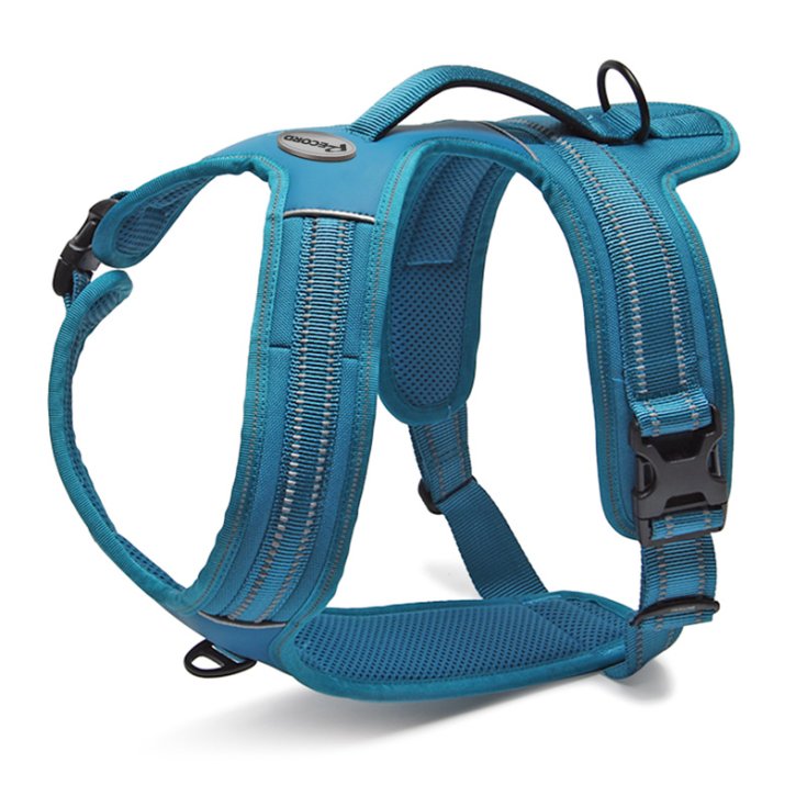 RECORD ACTION BLUE HARNESS M 60 72 CM A