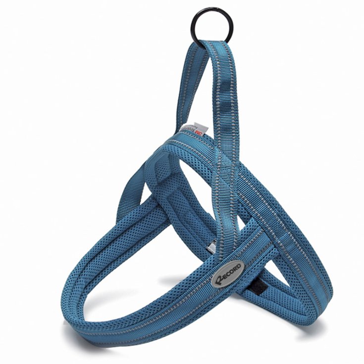 RECORD ACTION PET. BLUE DOLOMITES 70 82 C