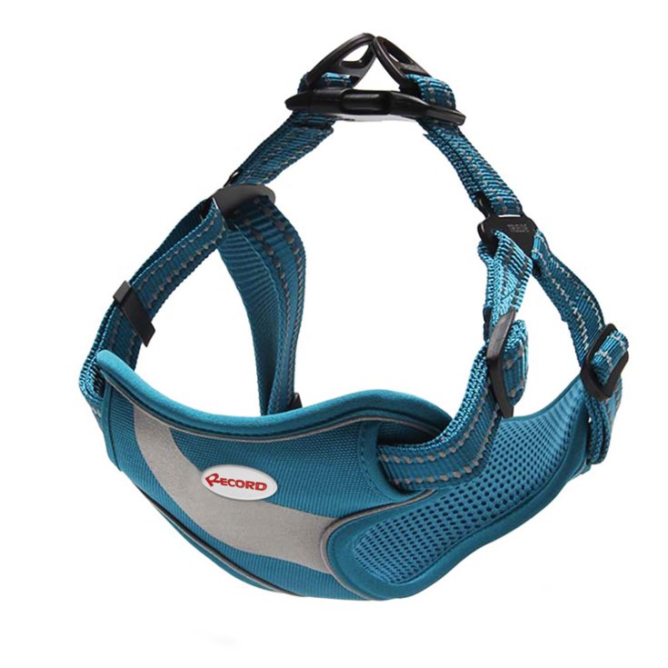 RECORD ACTION PET. HIMALAYA BLUE 40 62 C