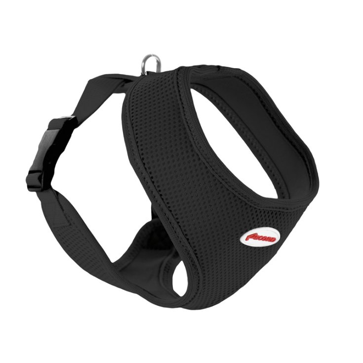 RECORD FAST DOG BLACK HARNESS XS 18-23/