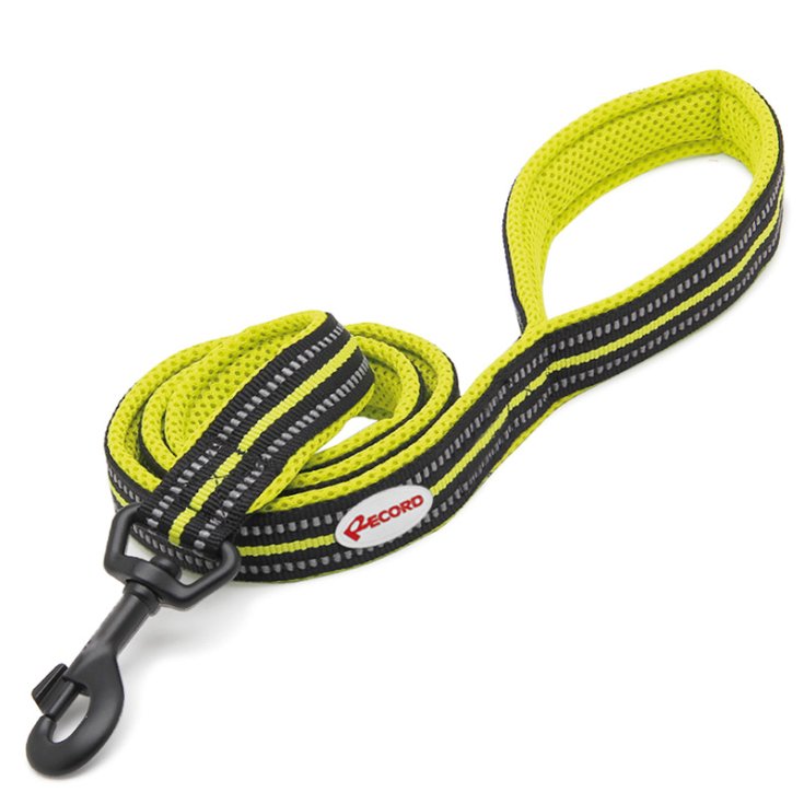 RECORD ACTION YELLOW LEASH M 2X110