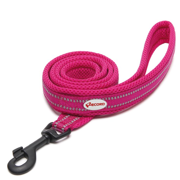 RECORD ACTION FUCHSIA LEASH L 2,5X11