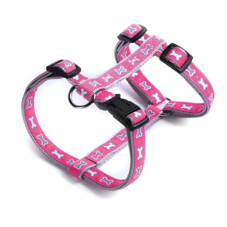 RECORD OXICINI PINK NYLON HARNESS 1X2