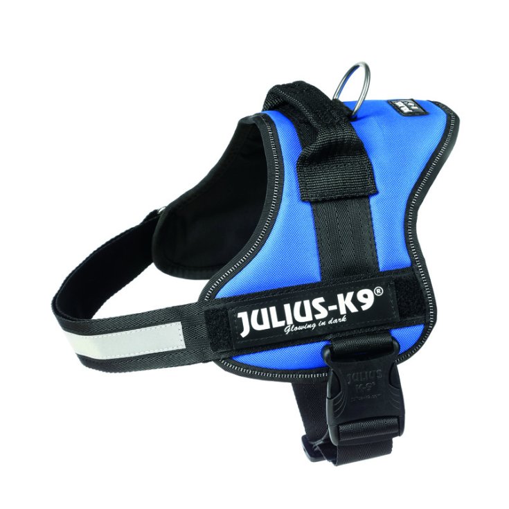 JULIUSK9 PETT 0/ML 5876/40 BLUE