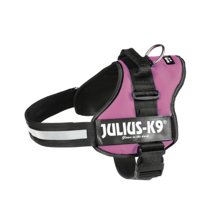 JULIUSK9 PETT ML 5876 FUCHSIA