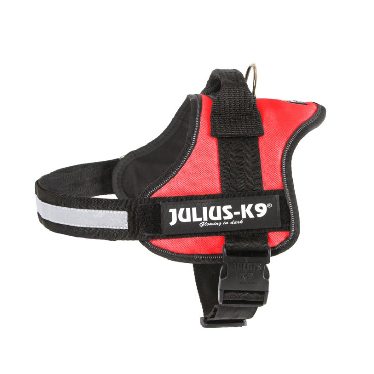 JULIUSK9 PETT 0/ML 5876/40 RO