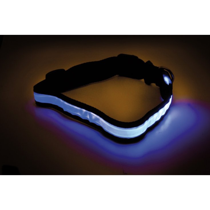 Record LED COLLAR ASSORTED COLORS L 2,