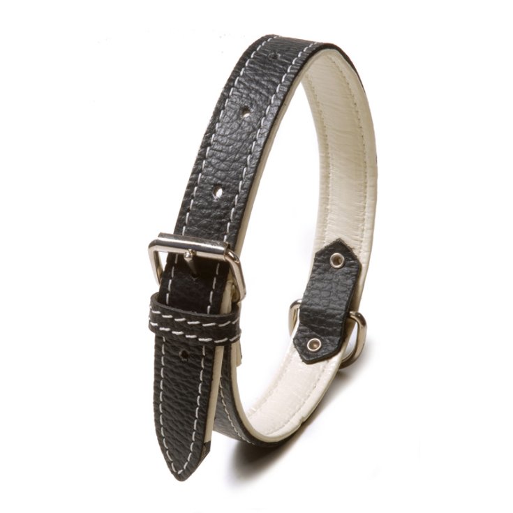 RECORD LAREDO DOUBLE COLLAR BLACK/WHITE