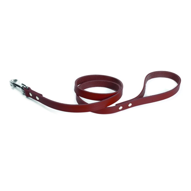RECORD BROWN LEATHER LEASH 1,6X100