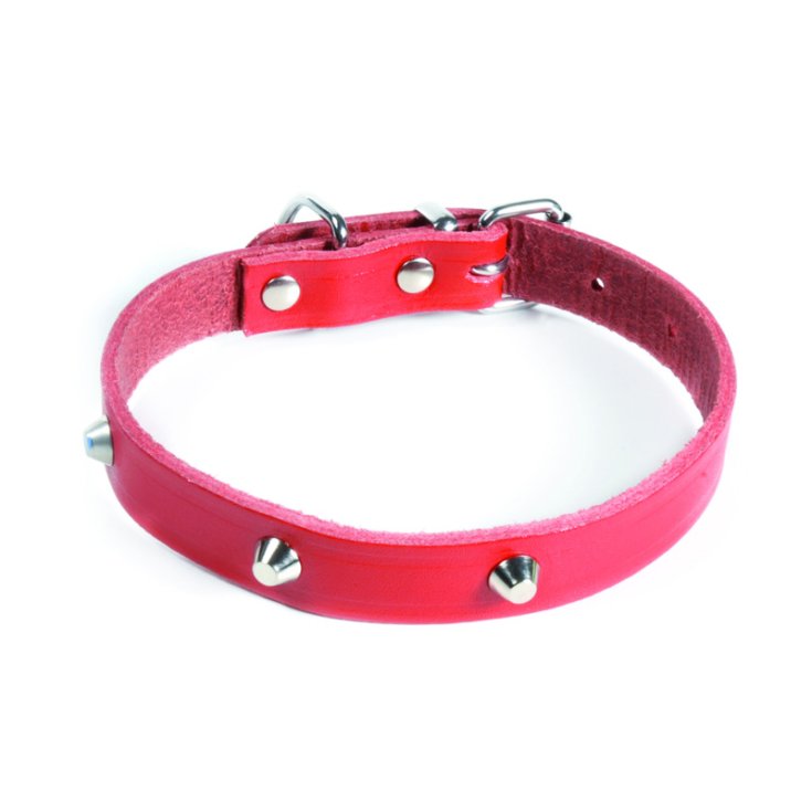 RECORD COLLAR WITH STUDS RED 1,2X35