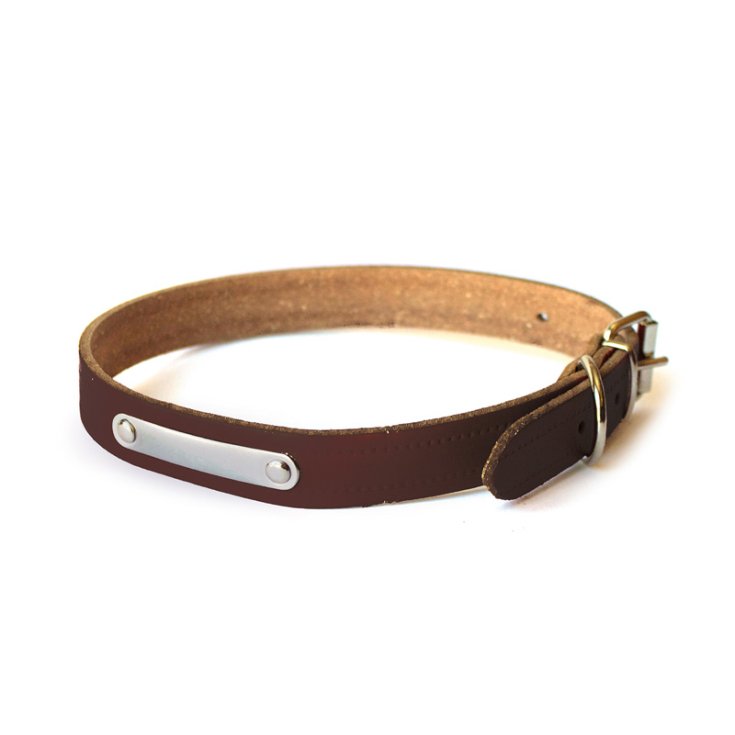 RECORD COLLAR WITH BROWN PLATE 2X4