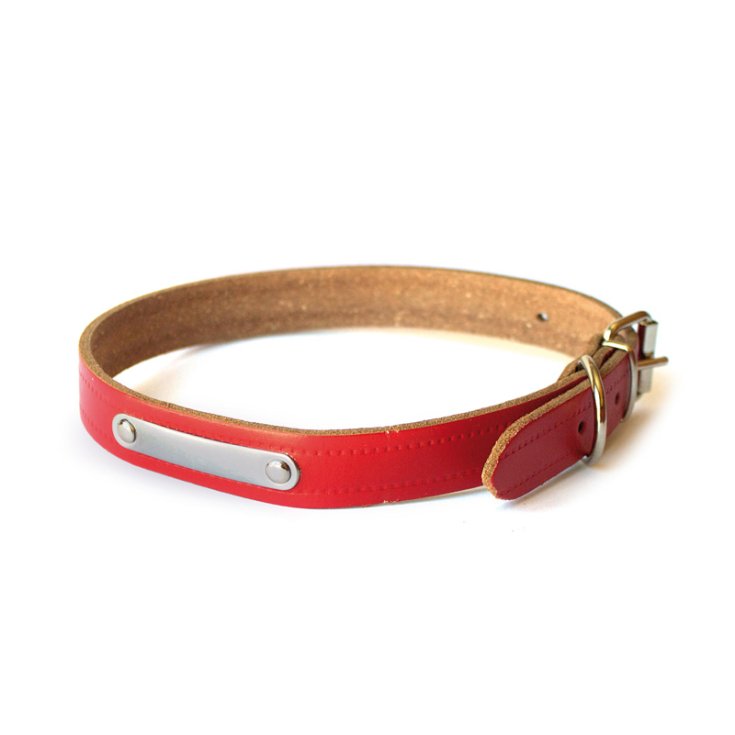 RECORD COLLAR WITH RED PLATE 3,5X6