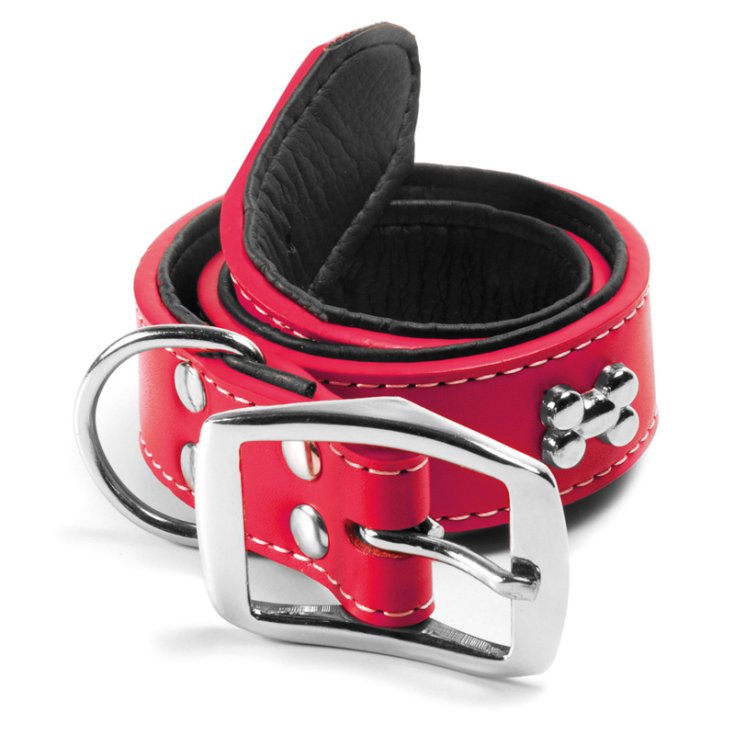 RECORD SILVER ECO-LEATHER COLLAR WITH OXY RO