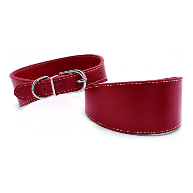 RECORD SOLID ECO-LEATHER COLLAR SOLID RED