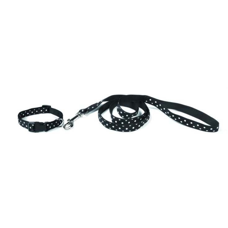 RECORD POIS DOG LEASH AND COLLAR/GA