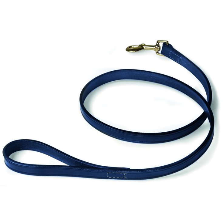 RECORD BLUE STITCHED LEATHER LEASH 1,8X1