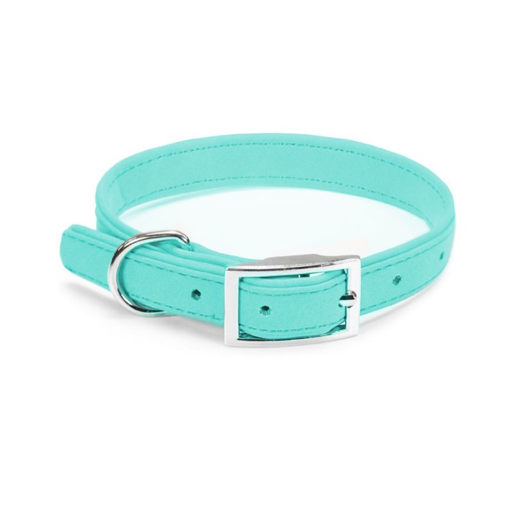 RECORD DOG COLLAR LEATHERETTE AQUAMARI