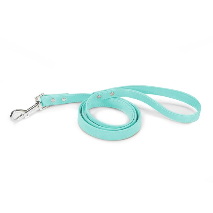 RECORD DOG LEASH LEATHERETTE AQUAM