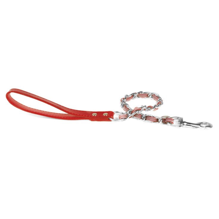 RECORD LEASH CHAIN ​​AND NYLON S 2X100