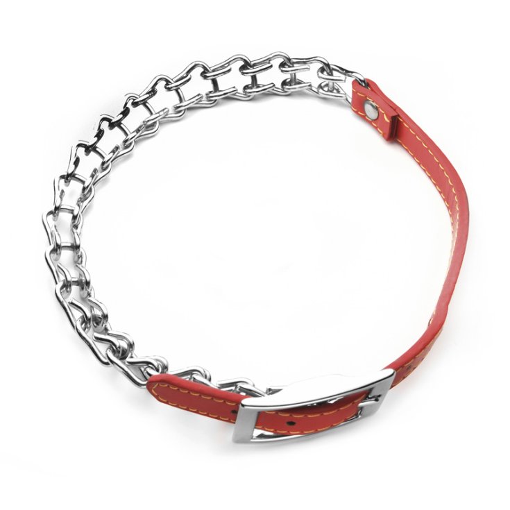 RECORD CHAIN ​​COLLAR WITH CLOSURE IN EC
