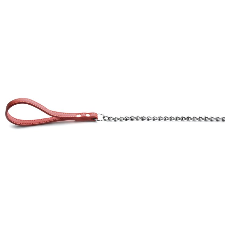 RECORD LEASH CHAIN ​​WITH HANDLE IN