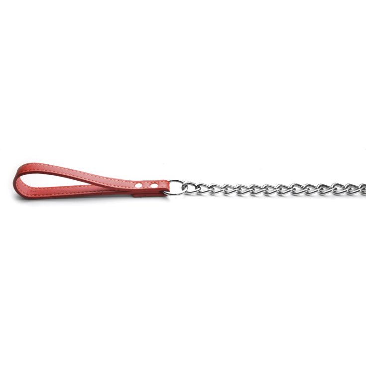 RECORD LEASH CHAIN ​​WITH HANDLE IN