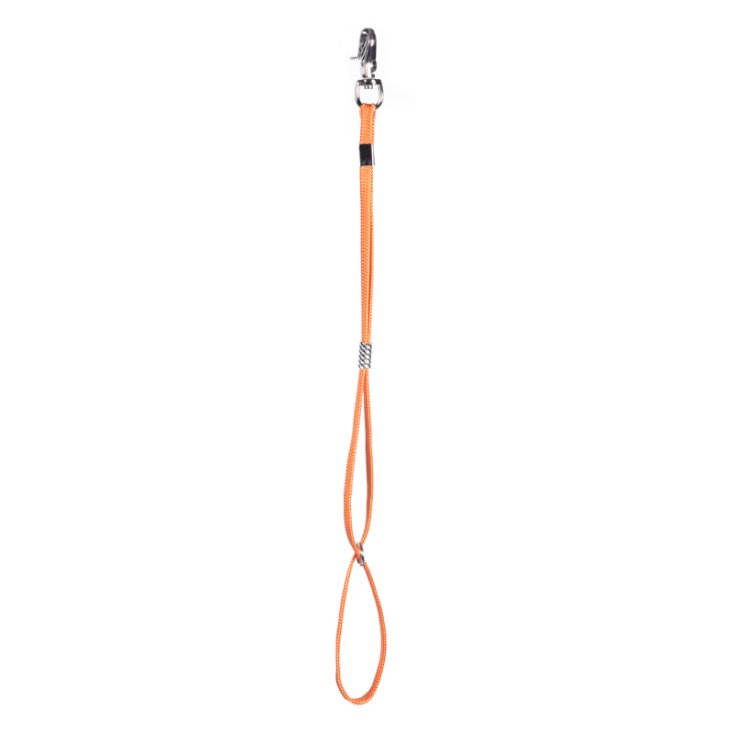 RECORD TABLE LEASH FOR TOILET