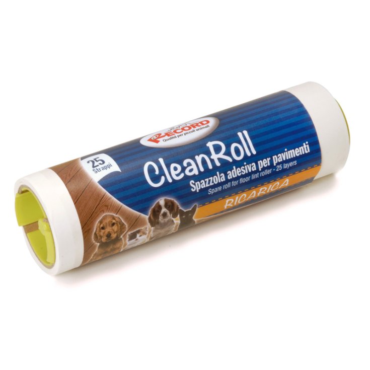 RECORD REPLACEMENT BRUSH ROLL 25 STR