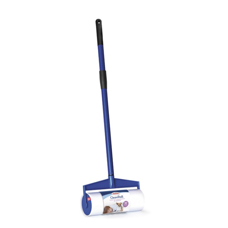 RECORD ADHESIVE FLOOR BRUSH, 30 STR