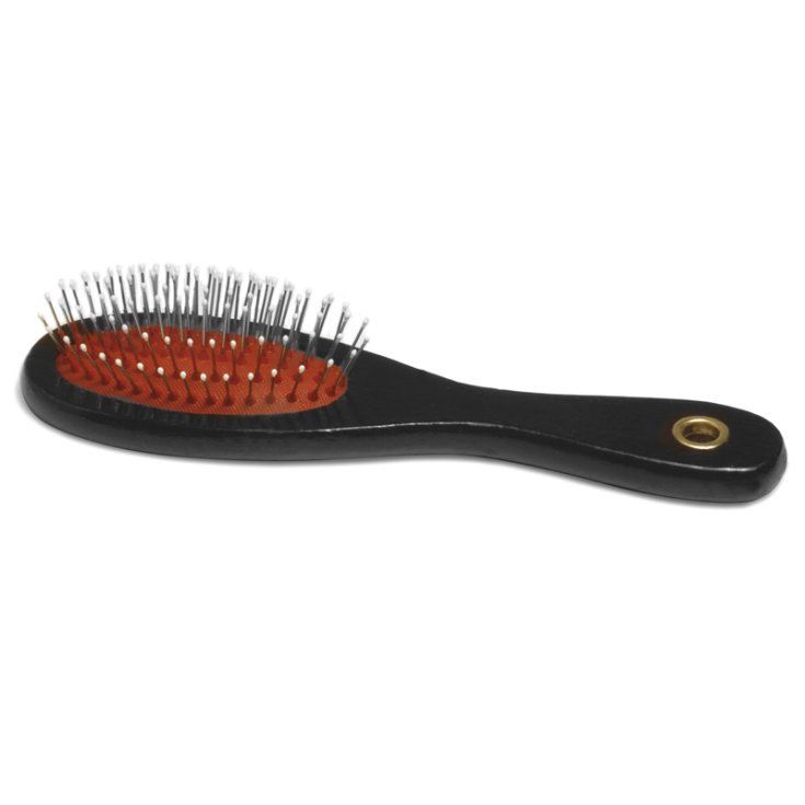RECORD BRUSH WITH TIPS M 21X6 CM 40 G