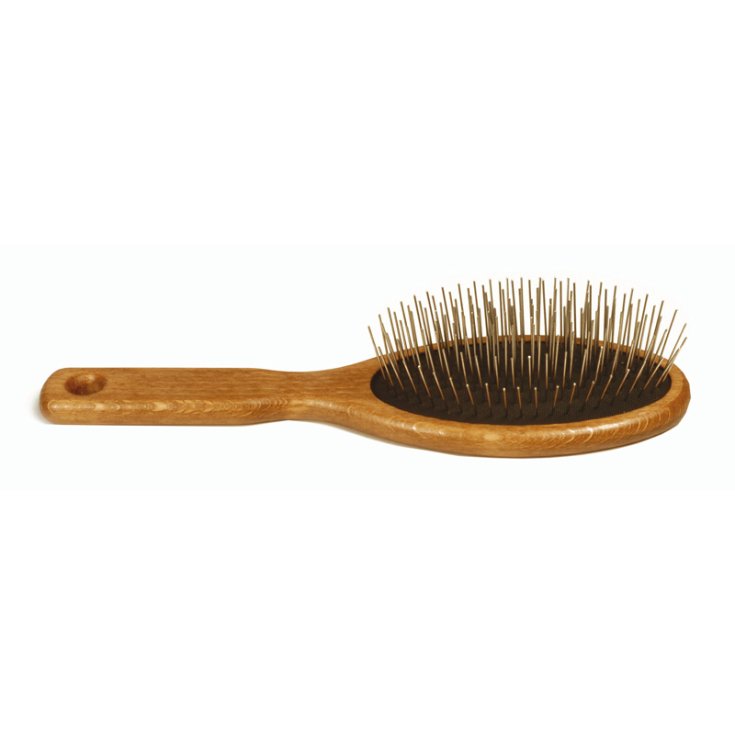 RECORD BRUSH STEEL TIPS L 21X6 CM