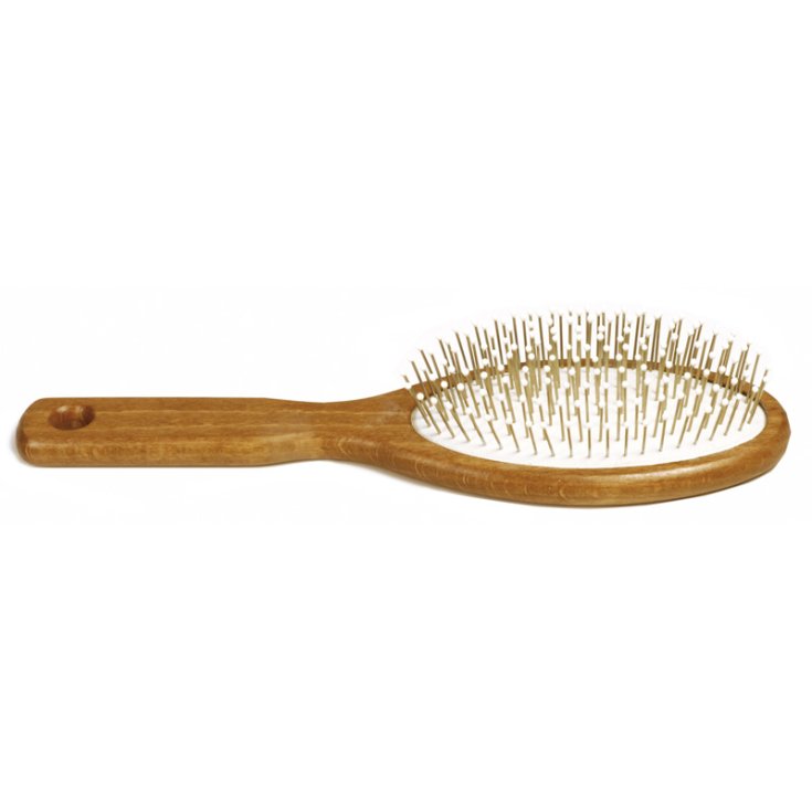 RECORD BRUSHES L 21 CM