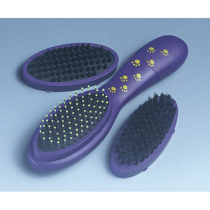 RECORD SET VIBRATING BRUSH