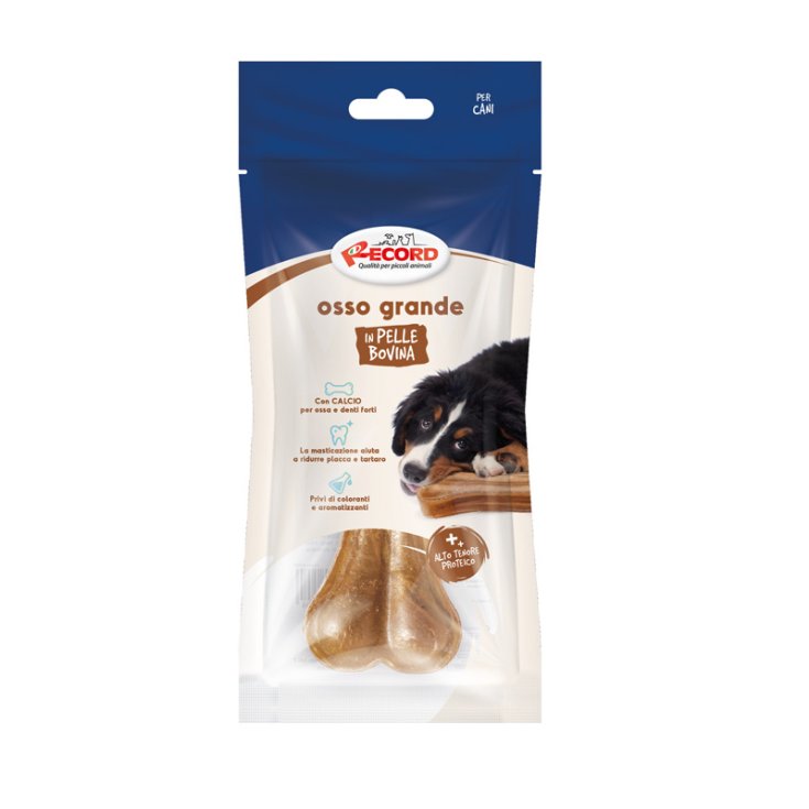 RECORD BIG BONE WITH FOOTBALL L 14 CM 85