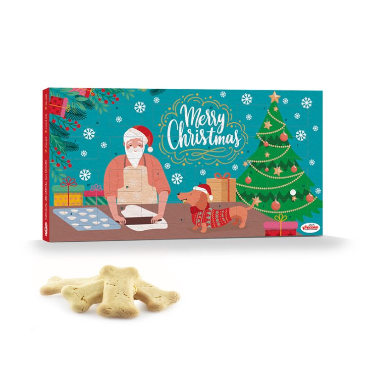 RECORD CHRISTMAS CALENDAR ADVENT BISC