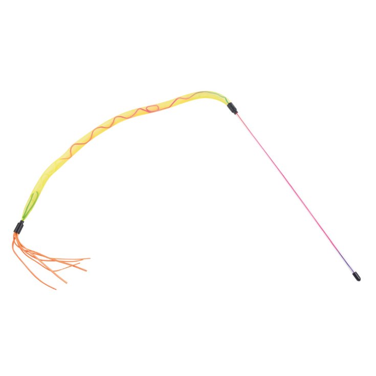RECORD STUZZICAGATTO ELASTIC NET WITH F