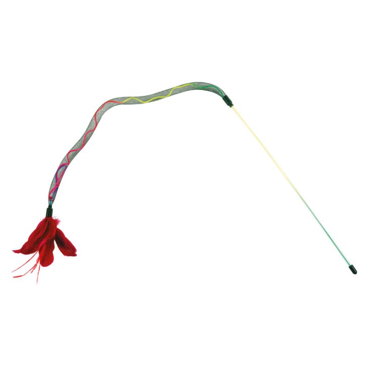 RECORD STUZZICAGATTO ELASTIC NETWORK WITH P