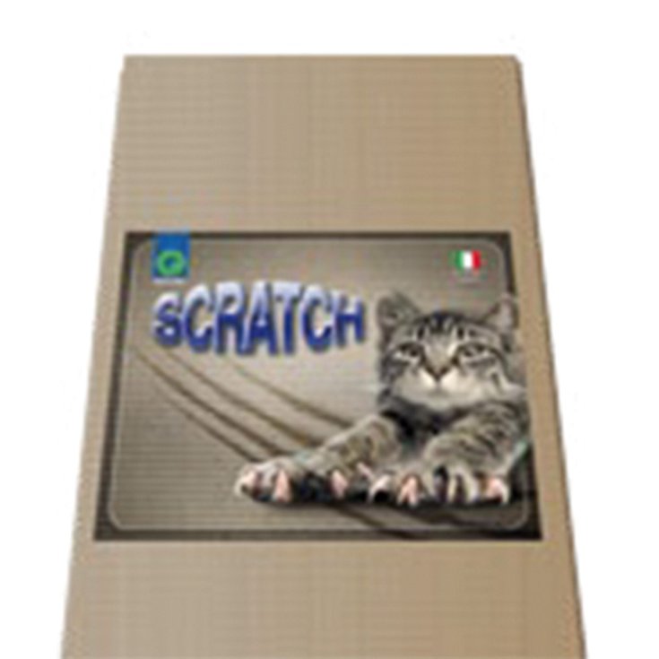 RECORD REPLACEMENT CARDBOARD FOR TIRAGRAFF
