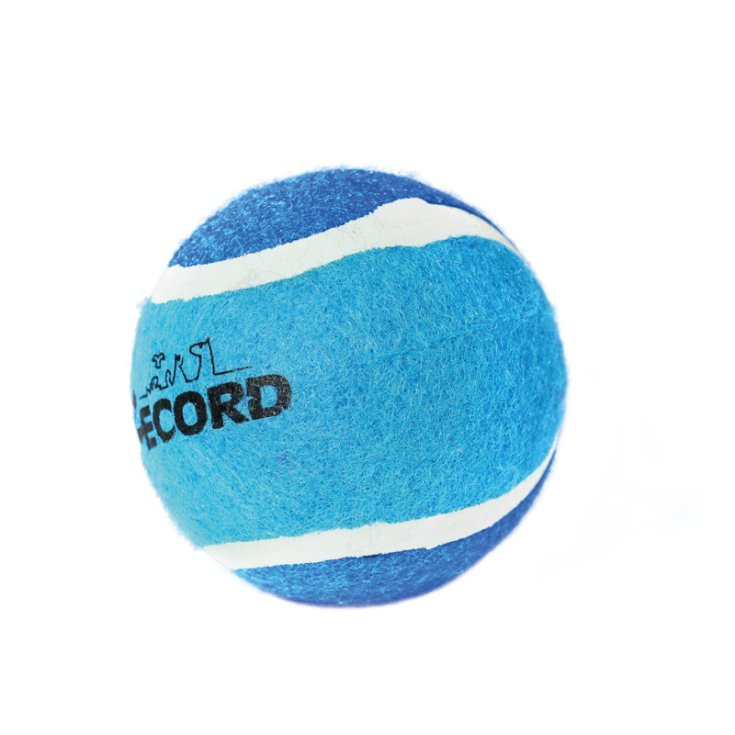 RECORD TENNIS FUN BLUE TENNIS BALL