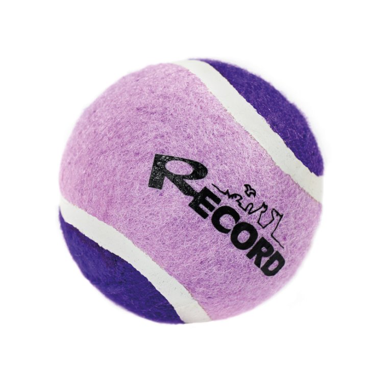 RECORD TENNIS FUN PURPLE TENNIS BALL