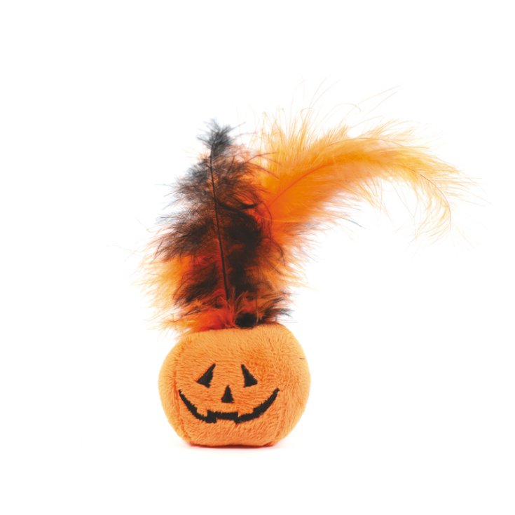 RECORD HORROR GAME CAT PUMPKIN WITH FEATHERS