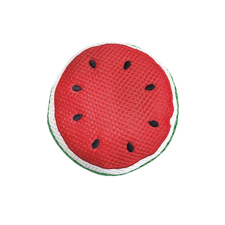 RECORD GAME FOR DOGS 12X12X4 WATERMELON