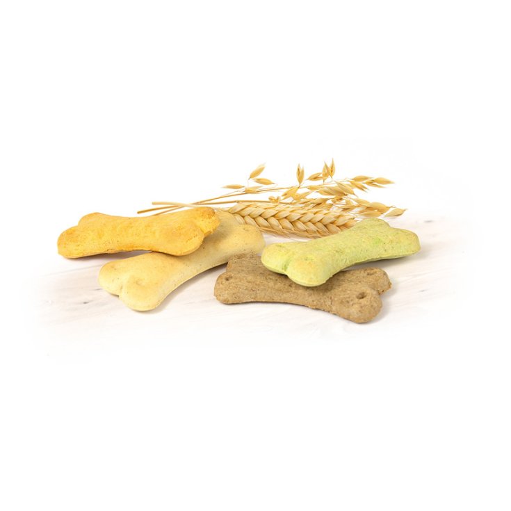RECORD BISCODOG DOG BISCUITS MIX BABY 4