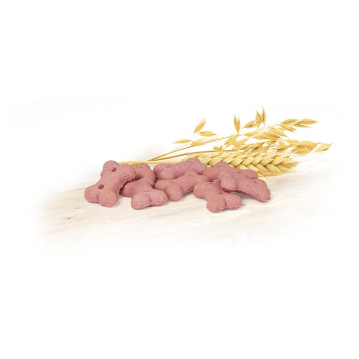 RECORD BISCODOG DOG BISCUITS FRUITS OF