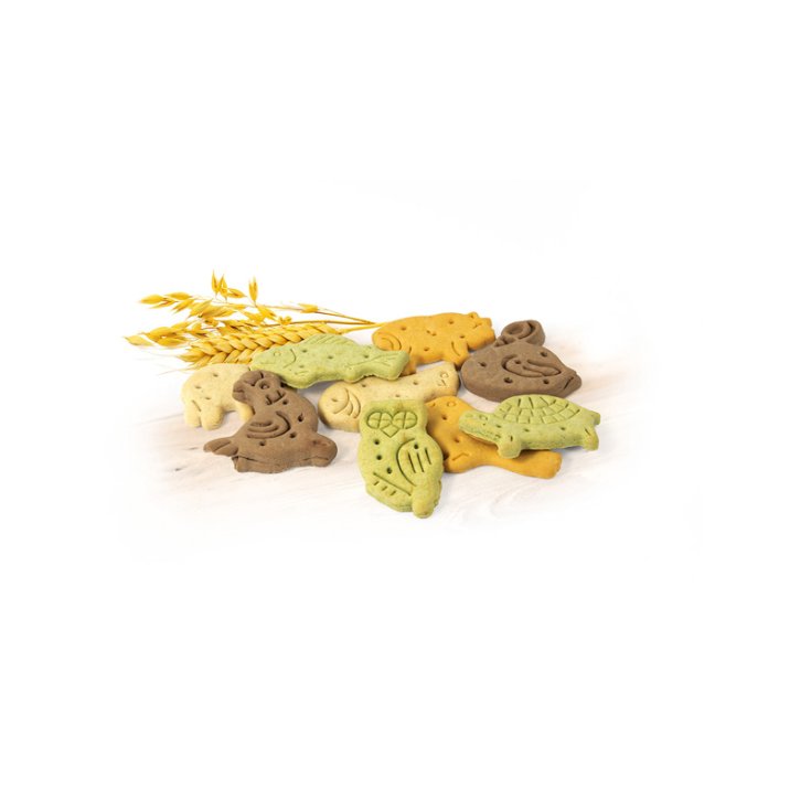 RECORD BISCODOG DOG BISCUITS MIX FACTOR