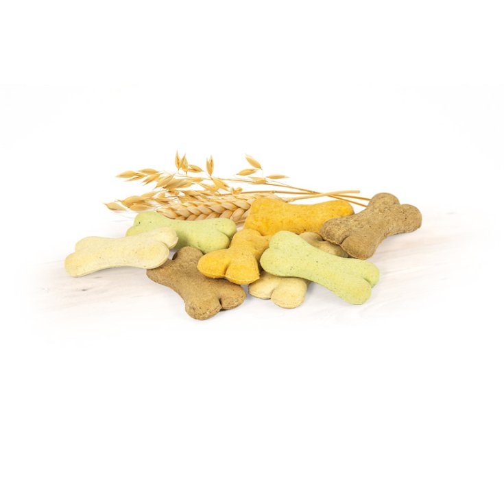 RECORD BISCODOG DOG BISCUITS MINI MIX 1